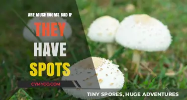 Are Spotted Mushrooms Safe to Eat? A Comprehensive Guide