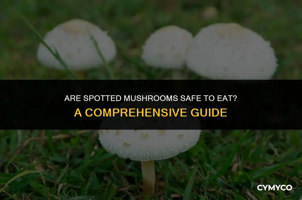 are mushrooms bad if they have spots