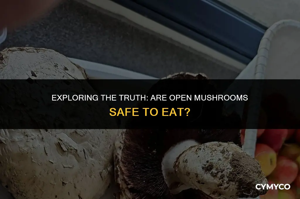 are mushrooms bad if they open