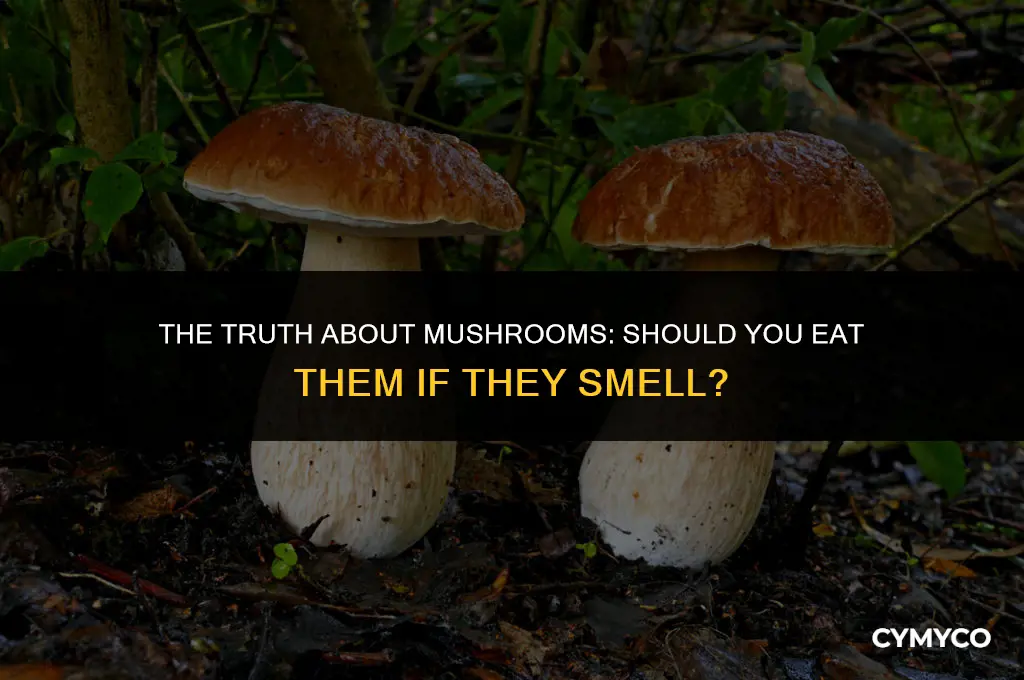 are mushrooms bad if they smell
