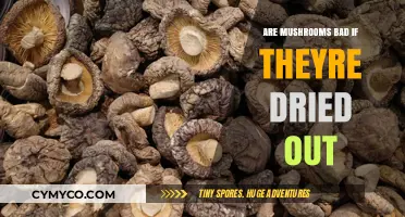 Reviving Flavor: The Truth About Dried-Out Mushrooms