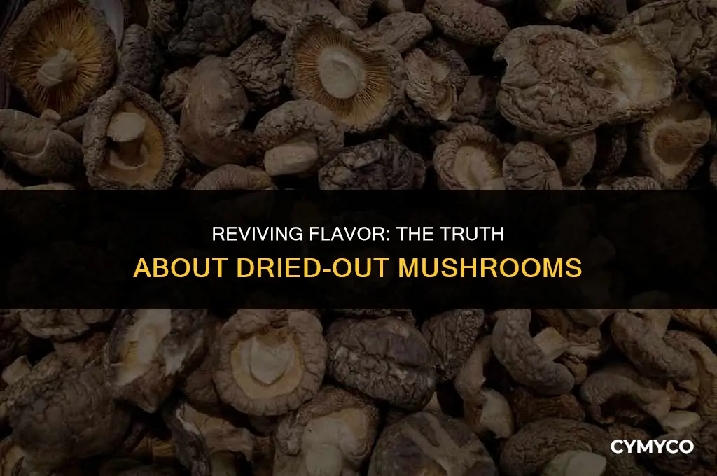 are mushrooms bad if theyre dried out