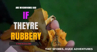 The Truth About Mushrooms: Are Rubber Mushrooms Safe to Eat?