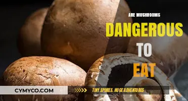 Exploring the Risks: Are Mushrooms Safe to Eat?