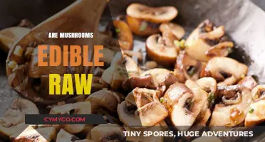 Exploring the Edibility of Raw Mushrooms: A Comprehensive Guide