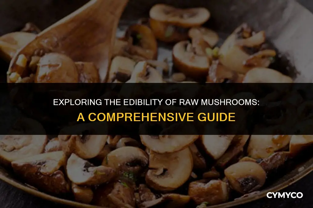 are mushrooms edible raw