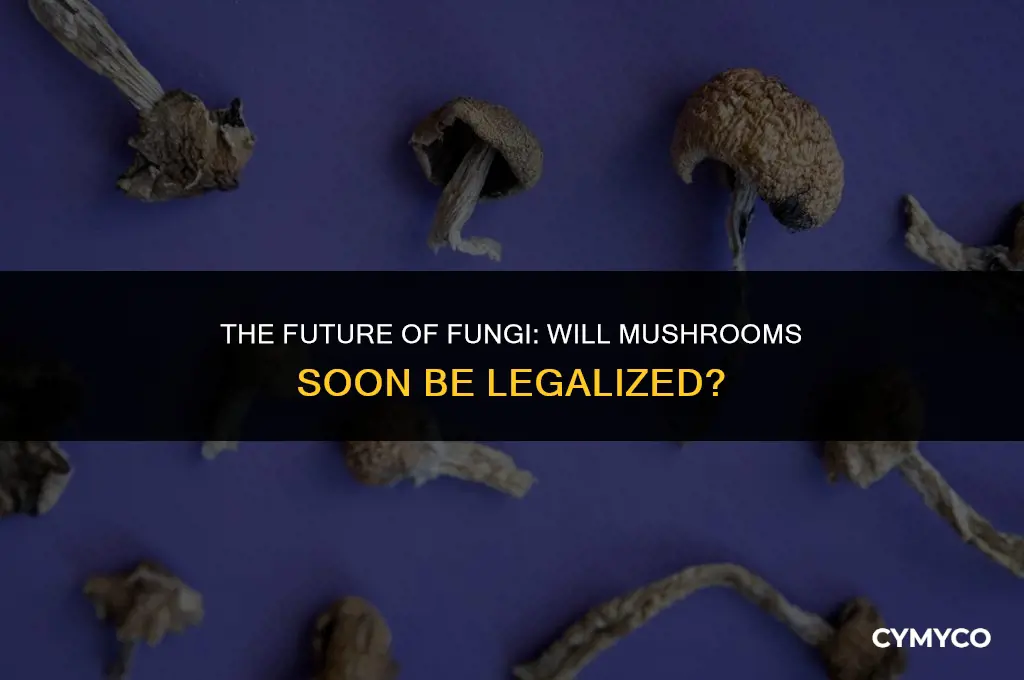 are mushrooms going to be legalized