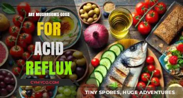 Mushrooms and Acid Reflux: A Natural Remedy or Trigger?