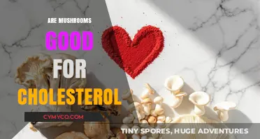 Exploring the Benefits of Mushrooms for Cholesterol Management