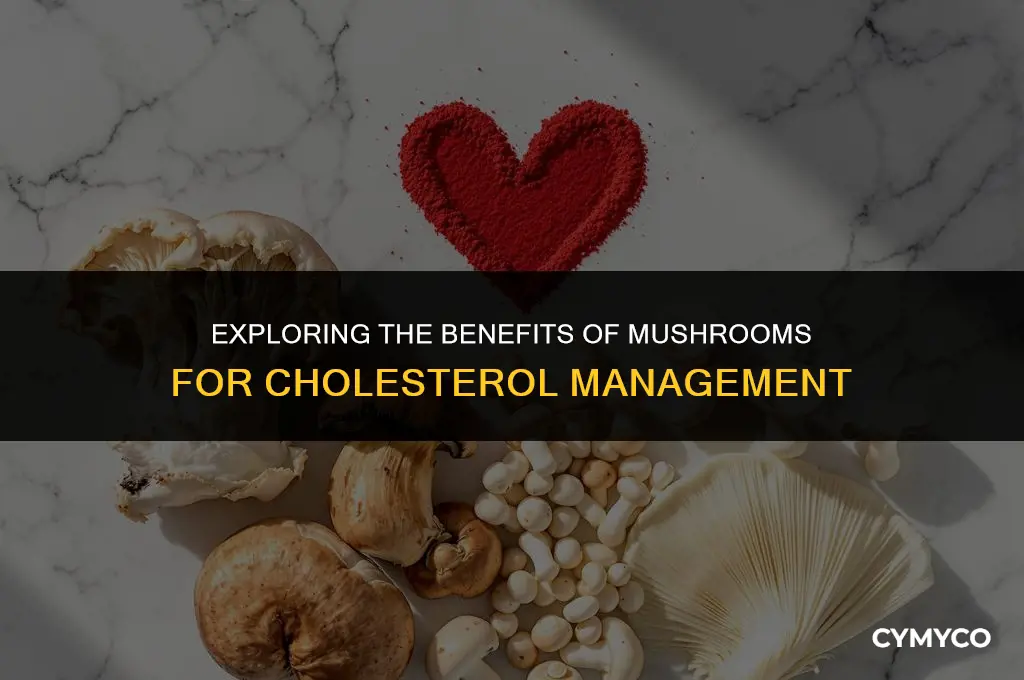 are mushrooms good for cholesterol