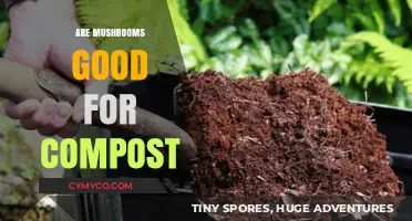 Mushrooms in Compost: Benefits, Uses, and Eco-Friendly Gardening Tips