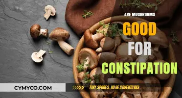 Exploring the Benefits of Mushrooms for Digestive Health