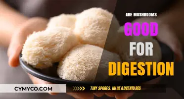 Exploring the Digestive Benefits of Mushrooms: A Comprehensive Guide