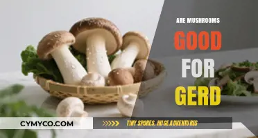 Mushrooms and GERD: Benefits, Risks, and Dietary Considerations Explained