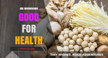 Exploring the Health Benefits of Mushrooms: A Nutritional Powerhouse