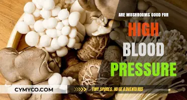 Exploring the Benefits of Mushrooms for High Blood Pressure Management