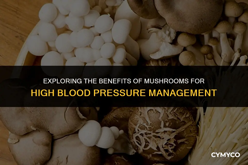 are mushrooms good for high blood pressure