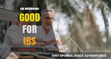 Mushrooms and IBS: Unlocking Gut-Friendly Benefits for Sensitive Stomachs