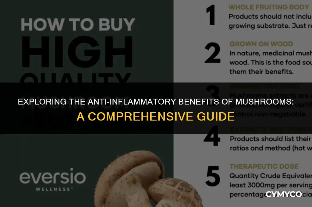 are mushrooms good for inflammation