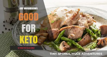 Mushrooms and Keto: A Low-Carb, Nutrient-Rich Dietary Match?