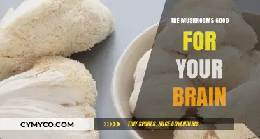 Exploring the Cognitive Benefits of Mushrooms: A Comprehensive Guide