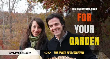 Boost Your Garden's Health: The Surprising Benefits of Mushrooms