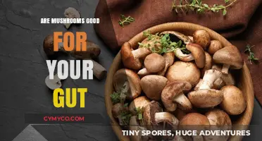 Unlocking Gut Health: The Surprising Benefits of Mushrooms