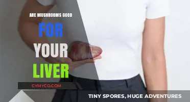 Exploring the Hepatic Benefits of Mushrooms: A Comprehensive Guide