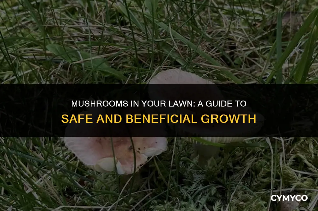 are mushrooms good growing in my lawn