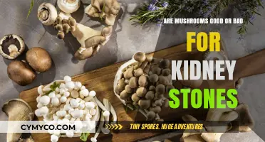 Exploring the Impact of Mushrooms on Kidney Stone Health