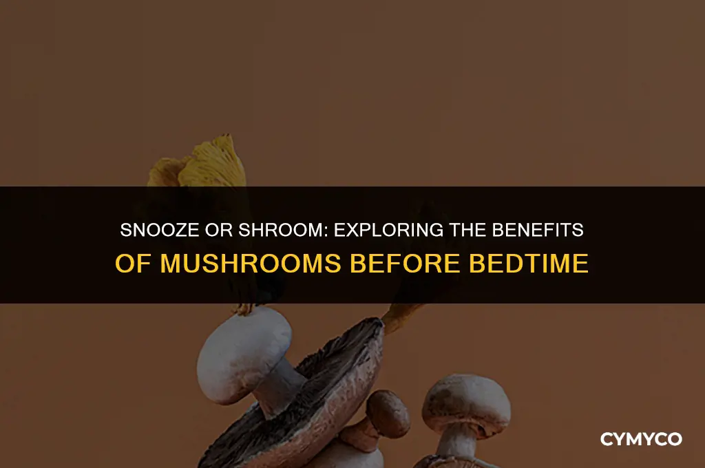 are mushrooms good to eat before bed