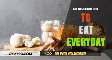Exploring the Health Benefits of Daily Mushroom Consumption