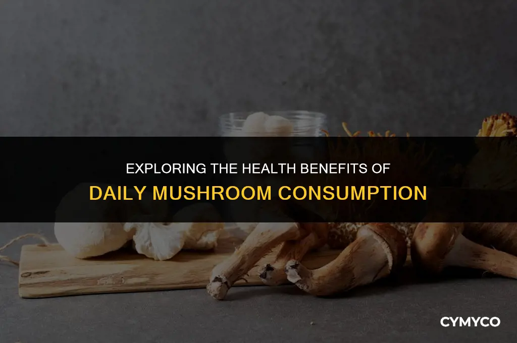 are mushrooms good to eat everyday