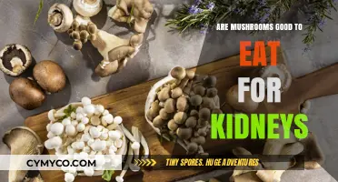 Exploring the Renal Benefits of Mushrooms: A Nutritional Insight