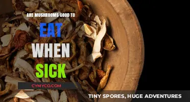 Mushrooms: A Nutritious Choice When You're Feeling Under the Weather?
