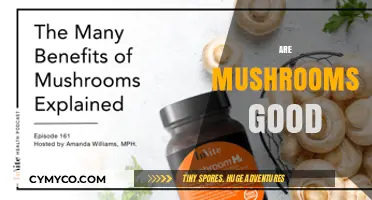 Exploring the Health Benefits: Are Mushrooms Good for You?