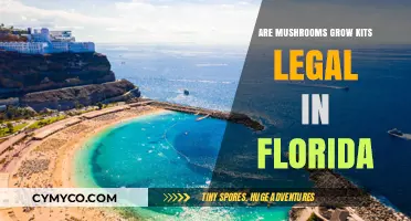 Exploring the Legality of Mushroom Grow Kits in Florida
