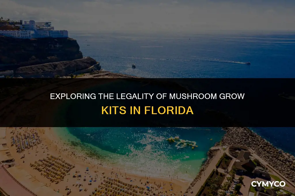 are mushrooms grow kits legal in florida