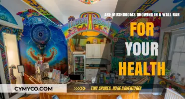 Mushrooms in Your Wall Bar: A Surprising Health Boost?