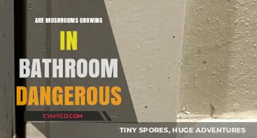 Are Bathroom Mushrooms Harmful? Understanding Risks and Removal Tips