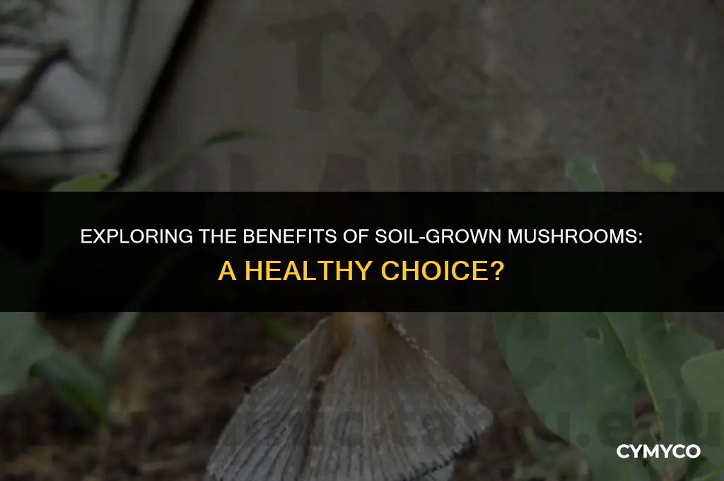 are mushrooms growing in soil good
