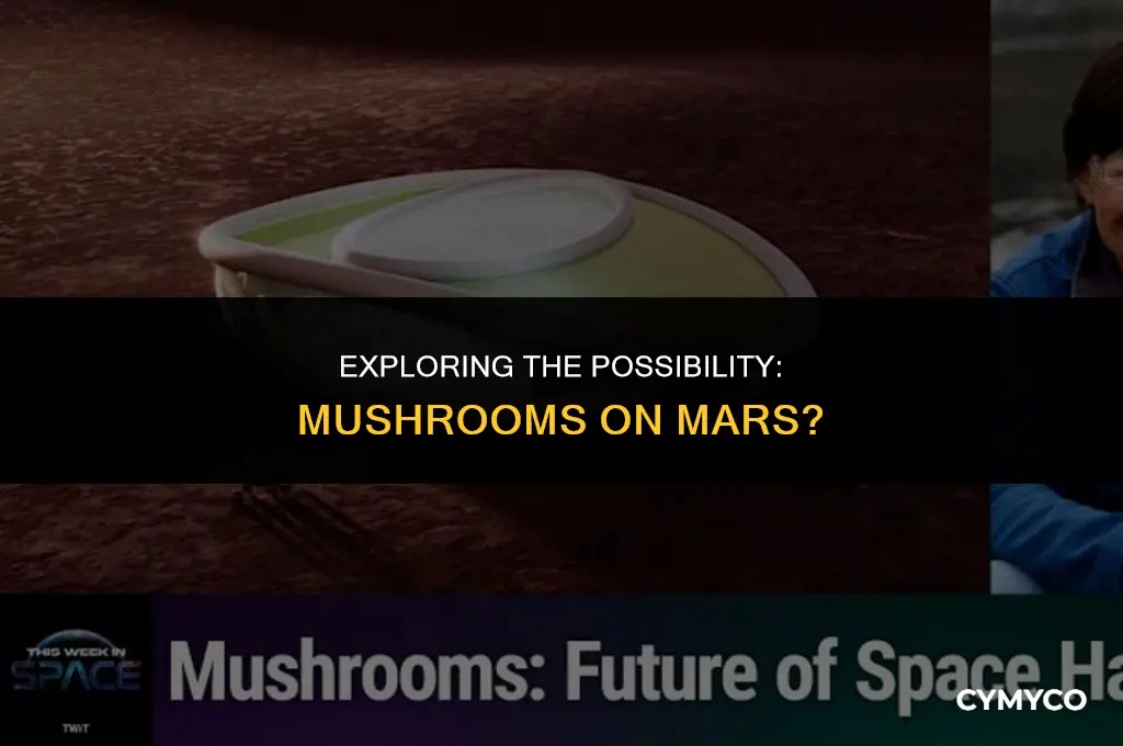 are mushrooms growing on mars