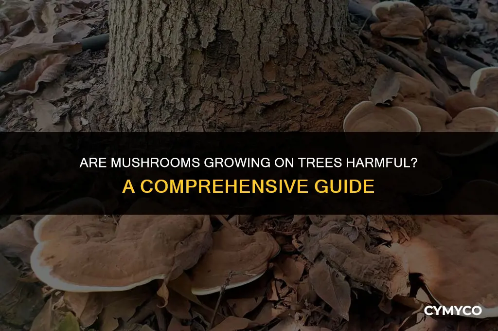 are mushrooms growing on trees bad