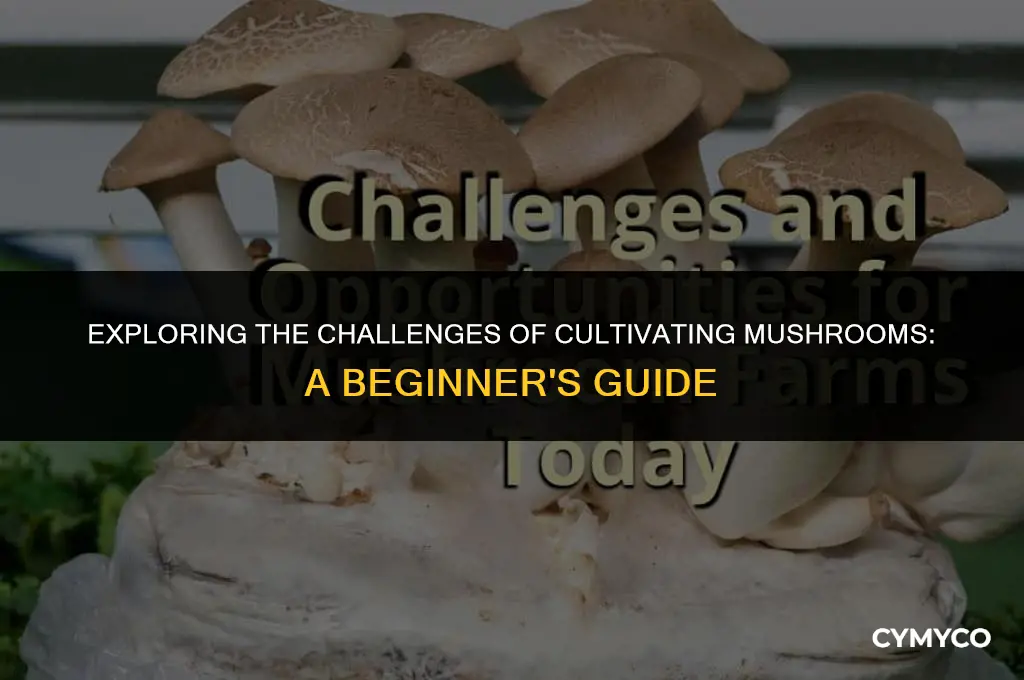 are mushrooms hard to grow