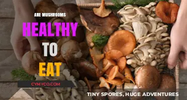 Exploring the Health Benefits of Mushrooms: A Nutritional Guide