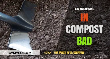 Mushrooms in Compost: A Surprising Benefit for Your Garden