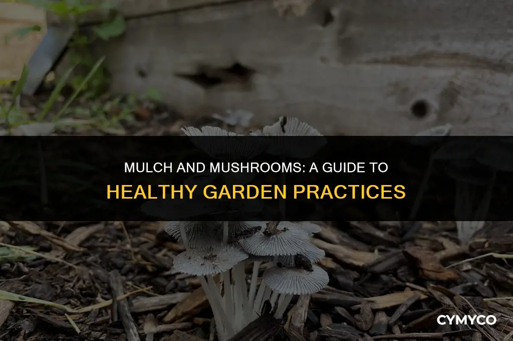 are mushrooms in mulch bad
