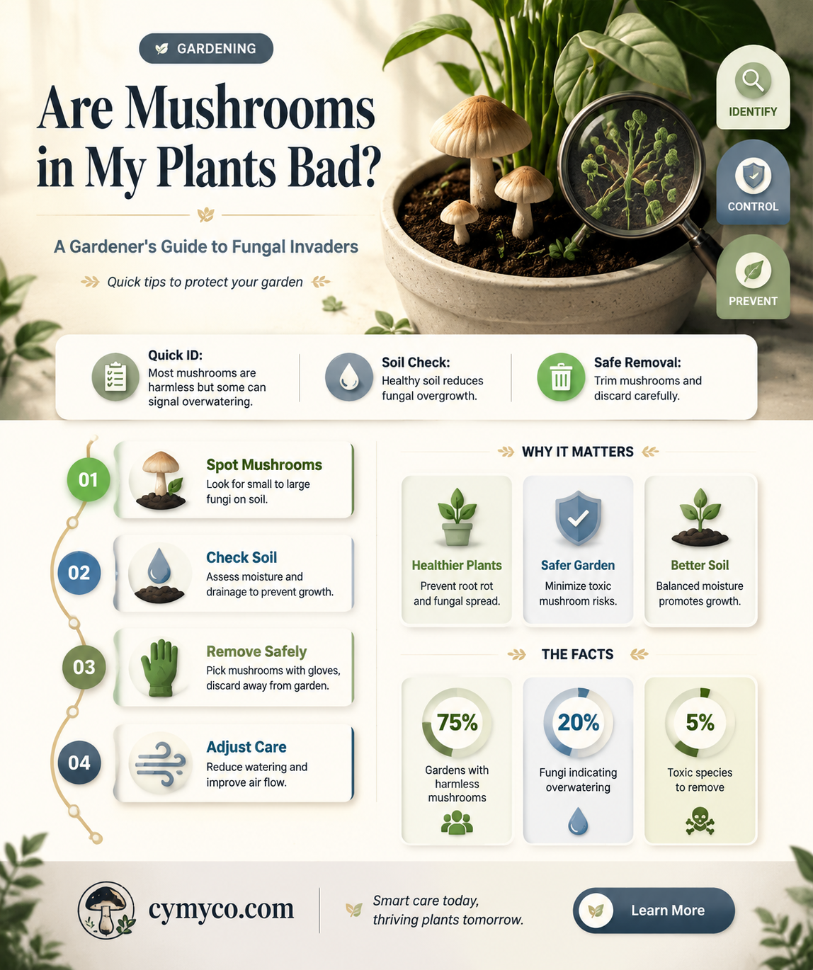 are mushrooms in my plants bad