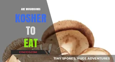 Are Mushrooms Kosher? Exploring Jewish Dietary Laws and Fungi