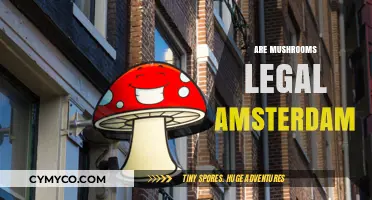 Exploring Amsterdam's Legal Landscape: Are Mushrooms Permitted?